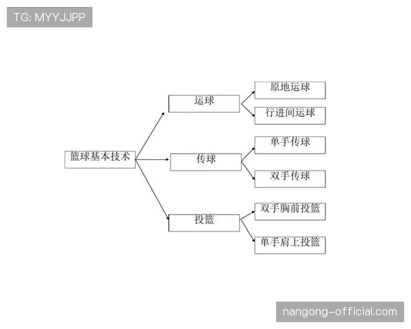 篮球新手必看：运球规则全面教学带你从入门到掌握